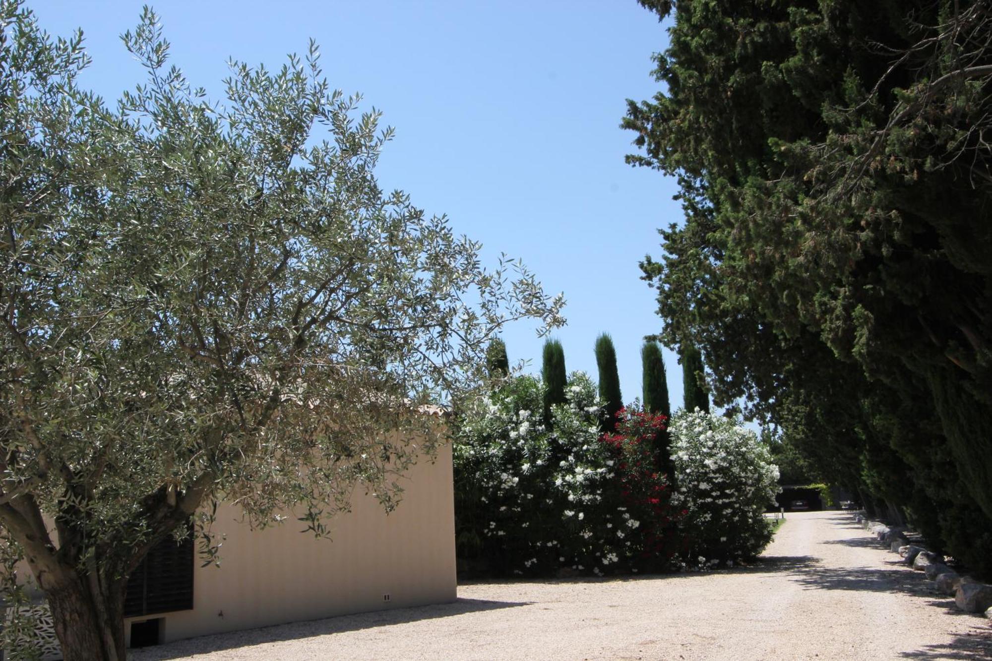 Bed and Breakfast Mas Paloma Rognonas Exterior foto